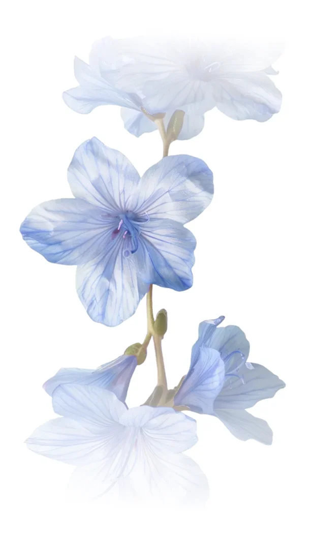 Flor Fundo 2